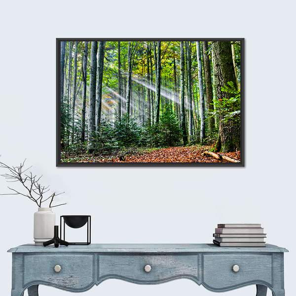 Sun Rays In The Forest Canvas Wall Art-1 Piece-Floating Frame-24" x 16"-Tiaracle