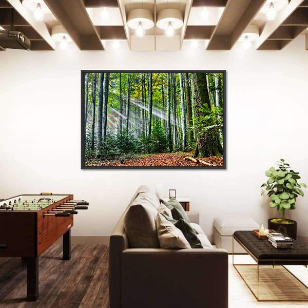 Sun Rays In The Forest Canvas Wall Art-3 Horizontal-Gallery Wrap-25" x 16"-Tiaracle