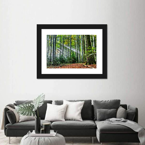 Sun Rays In The Forest Canvas Wall Art-3 Horizontal-Gallery Wrap-25" x 16"-Tiaracle