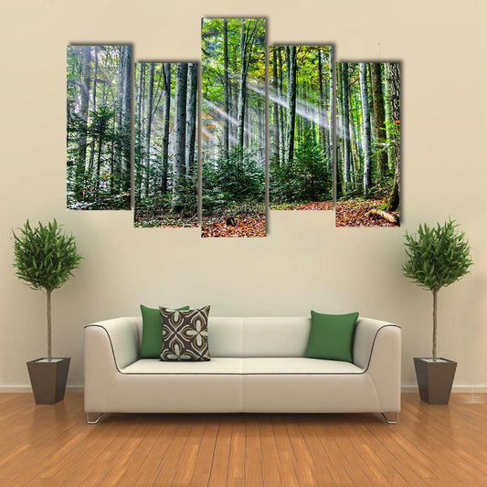 Sun Rays In The Forest Canvas Wall Art-5 Pop-Gallery Wrap-47" x 32"-Tiaracle