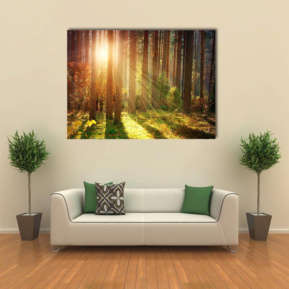 Misty Old Forest Autumn Canvas Wall Art-1 Piece-Gallery Wrap-48" x 32"-Tiaracle