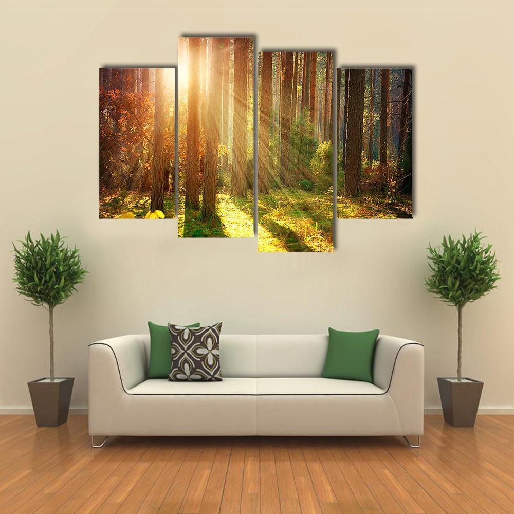 Misty Old Forest Autumn Canvas Wall Art-4 Pop-Gallery Wrap-50" x 32"-Tiaracle