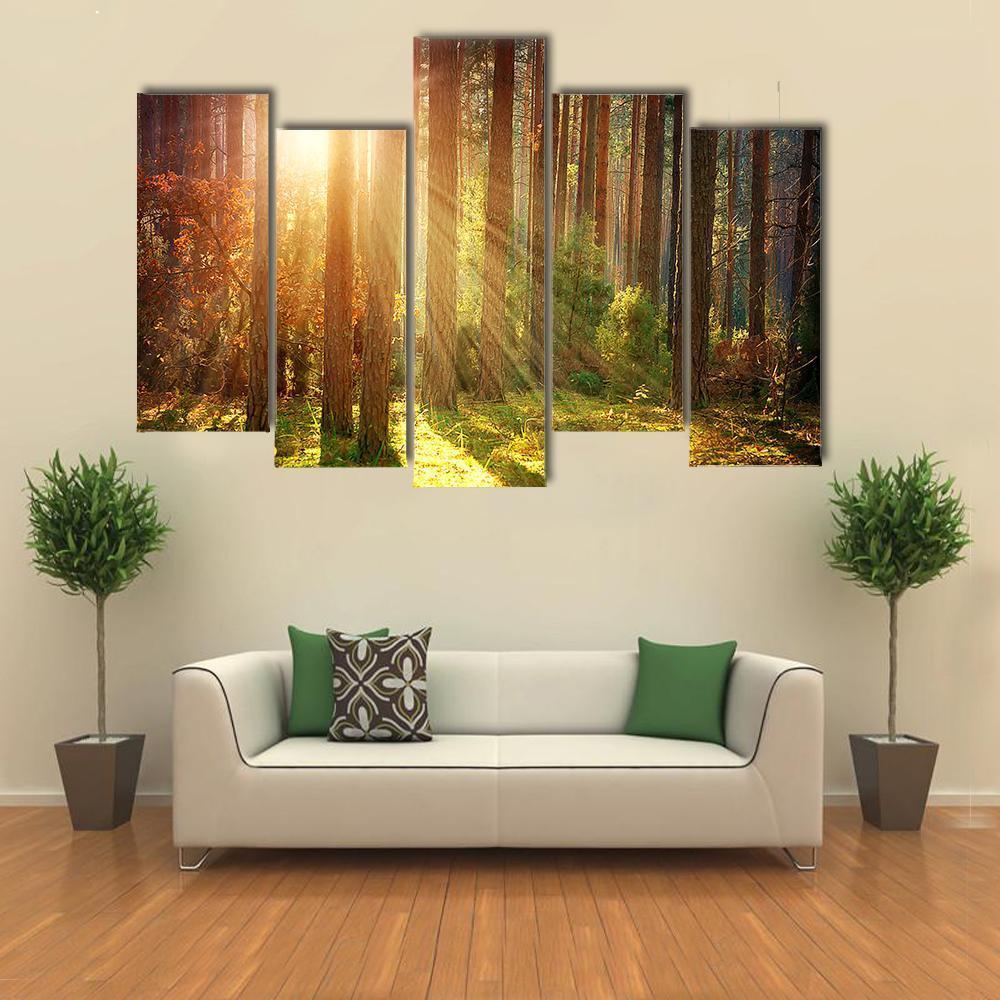 Misty Old Forest Autumn Canvas Wall Art-5 Pop-Gallery Wrap-47" x 32"-Tiaracle