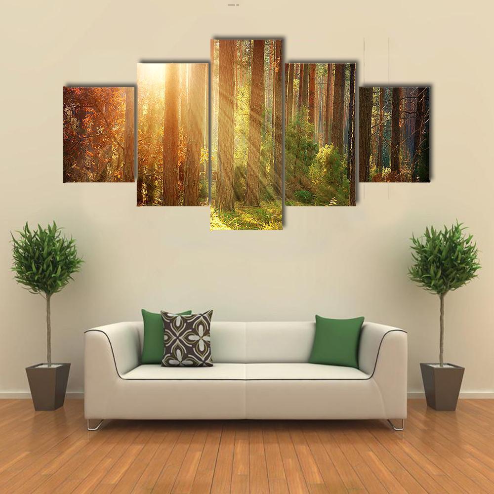 Misty Old Forest Autumn Canvas Wall Art-5 Star-Gallery Wrap-62" x 32"-Tiaracle