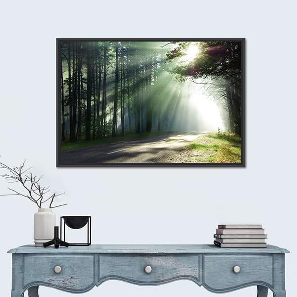 Sunlight Rays On The Forest Road Canvas Wall Art-1 Piece-Floating Frame-24" x 16"-Tiaracle