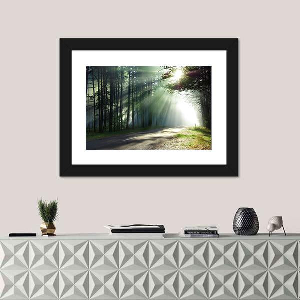 Sunlight Rays On The Forest Road Canvas Wall Art-1 Piece-Framed Print-20" x 16"-Tiaracle