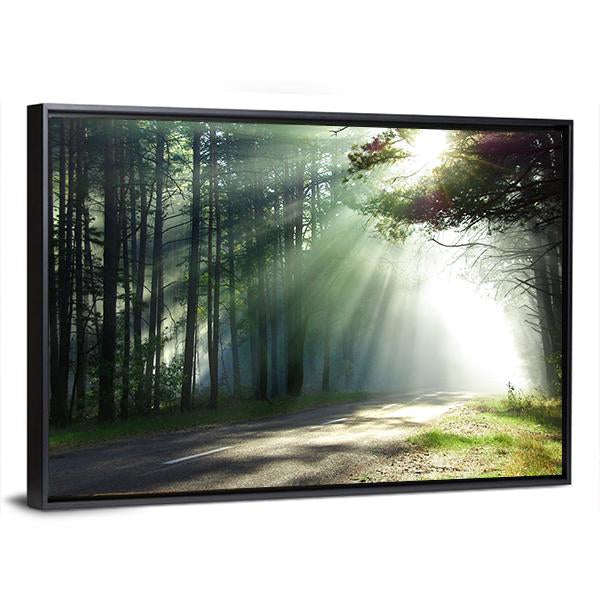 Sunlight Rays On The Forest Road Canvas Wall Art-3 Horizontal-Gallery Wrap-25" x 16"-Tiaracle