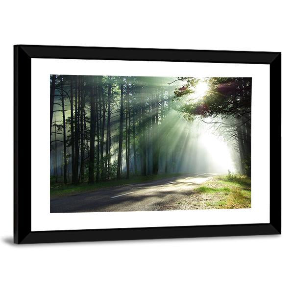 Sunlight Rays On The Forest Road Canvas Wall Art-3 Horizontal-Gallery Wrap-25" x 16"-Tiaracle