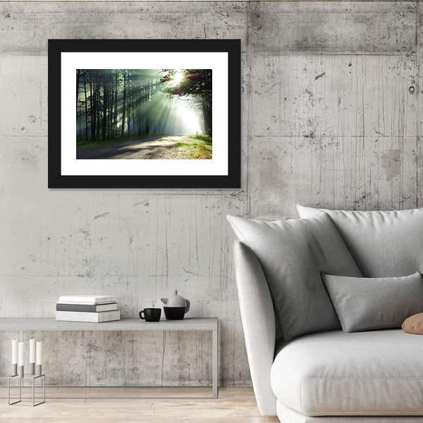 Sunlight Rays On The Forest Road Canvas Wall Art-3 Horizontal-Gallery Wrap-25" x 16"-Tiaracle