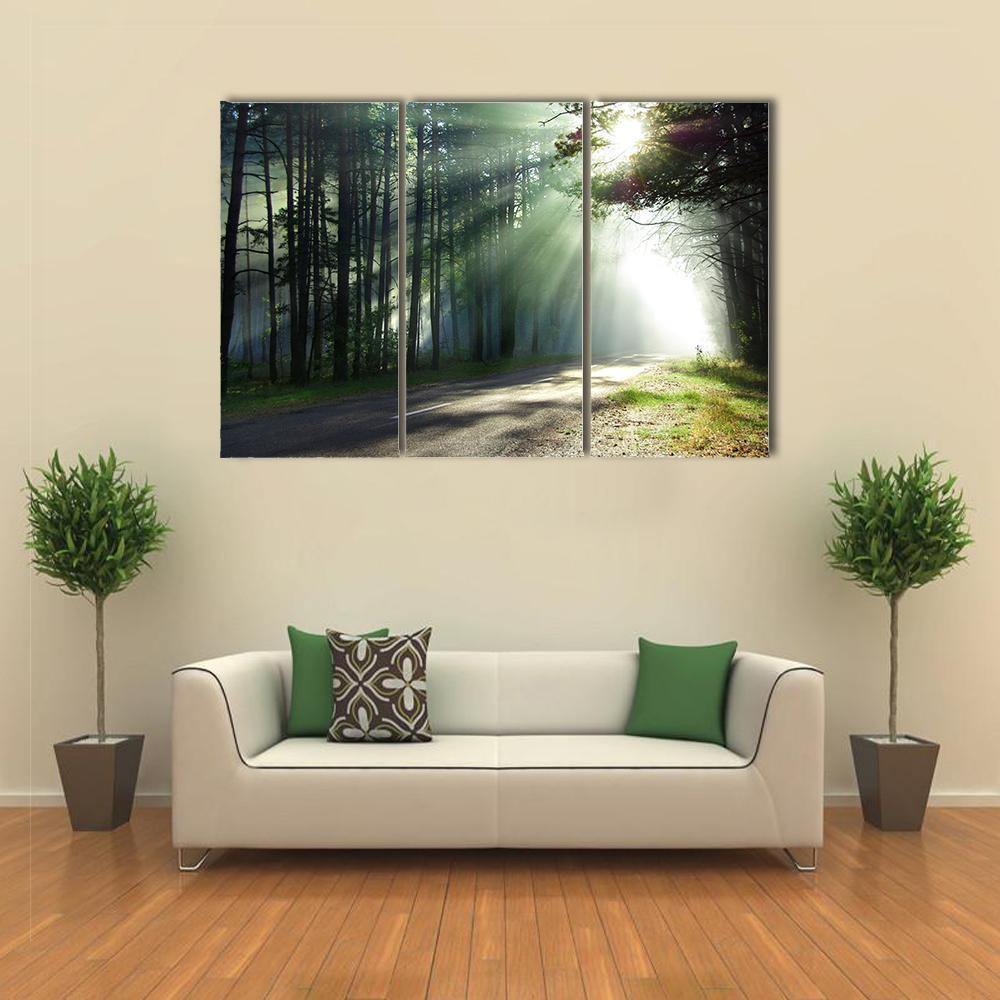 Sunlight Rays On The Forest Road Canvas Wall Art-3 Horizontal-Gallery Wrap-37" x 24"-Tiaracle