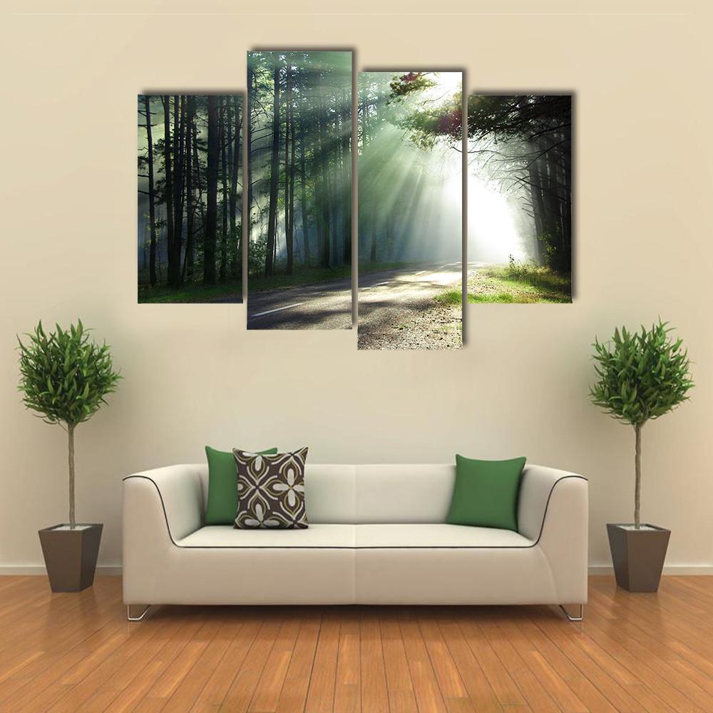 Sunlight Rays On The Forest Road Canvas Wall Art-4 Pop-Gallery Wrap-50" x 32"-Tiaracle