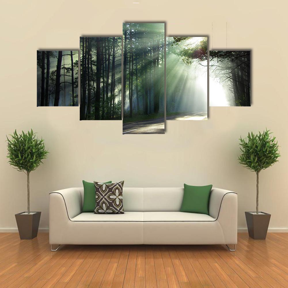 Sunlight Rays On The Forest Road Canvas Wall Art-5 Star-Gallery Wrap-62" x 32"-Tiaracle