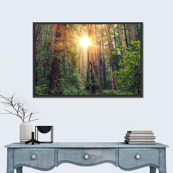 Sunny Redwood Forest In California Canvas Wall Art-3 Horizontal-Gallery Wrap-25" x 16"-Tiaracle