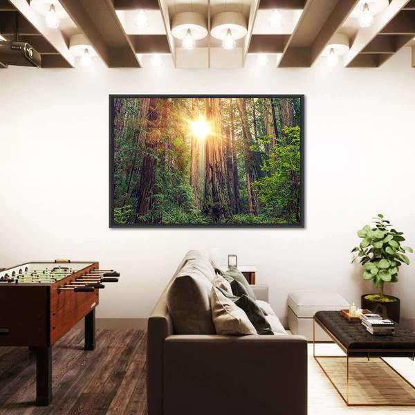 Sunny Redwood Forest In California Canvas Wall Art-3 Horizontal-Gallery Wrap-25" x 16"-Tiaracle