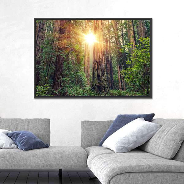 Sunny Redwood Forest In California Canvas Wall Art-1 Piece-Floating Frame-24" x 16"-Tiaracle