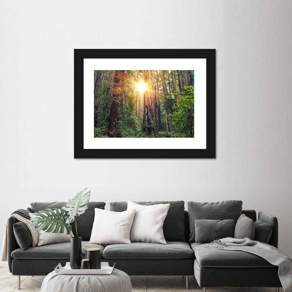 Sunny Redwood Forest In California Canvas Wall Art-1 Piece-Framed Print-20" x 16"-Tiaracle