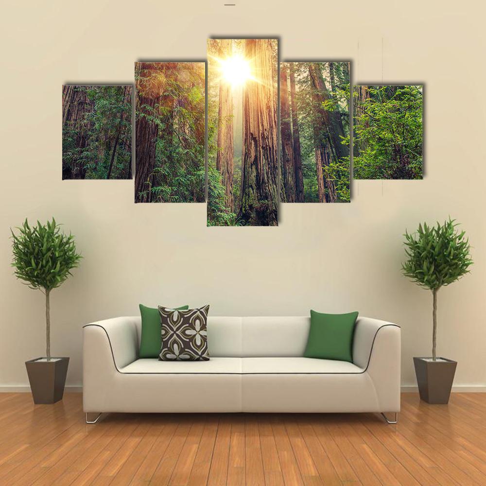 Sunny Redwood Forest In California Canvas Wall Art-5 Star-Gallery Wrap-62" x 32"-Tiaracle