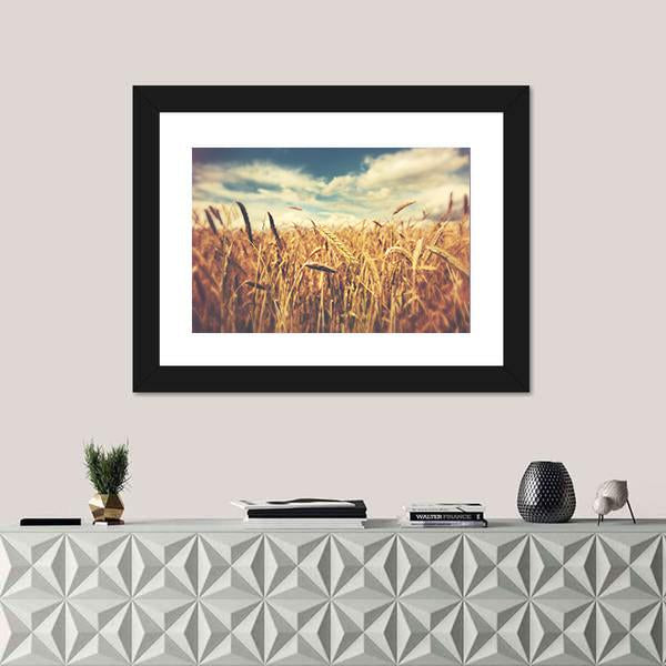 Sunny Wheat Field Canvas Wall Art-1 Piece-Framed Print-20" x 16"-Tiaracle