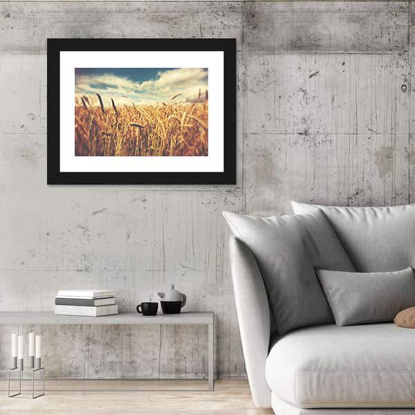 Sunny Wheat Field Canvas Wall Art-3 Horizontal-Gallery Wrap-25" x 16"-Tiaracle