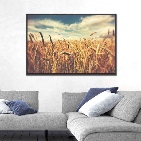 Sunny Wheat Field Canvas Wall Art-3 Horizontal-Gallery Wrap-25" x 16"-Tiaracle