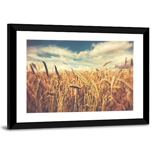 Sunny Wheat Field Canvas Wall Art-3 Horizontal-Gallery Wrap-25" x 16"-Tiaracle