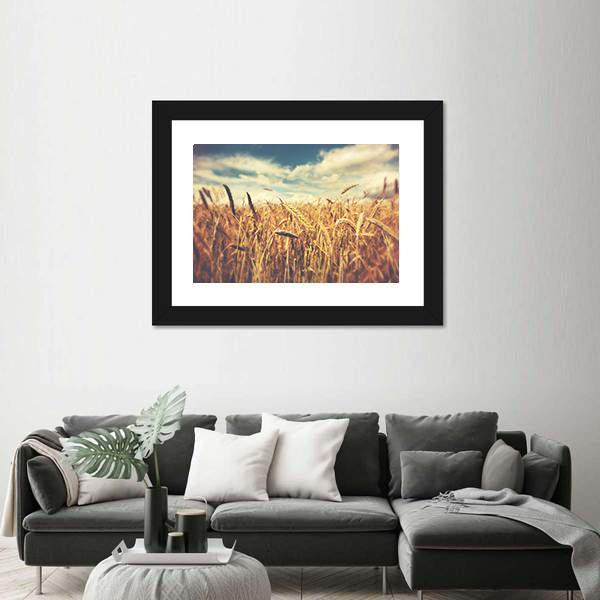 Sunny Wheat Field Canvas Wall Art-3 Horizontal-Gallery Wrap-25" x 16"-Tiaracle