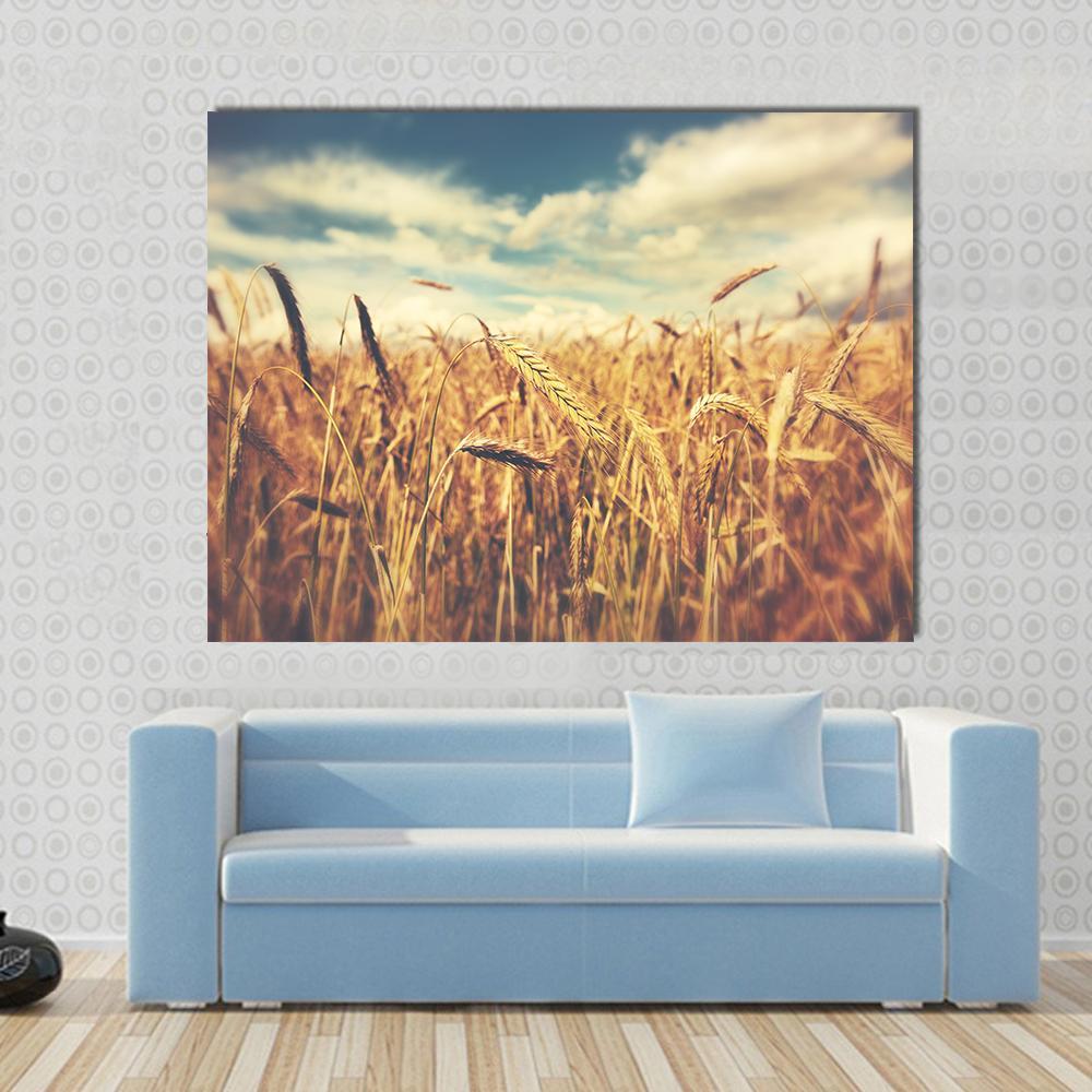 Sunny Wheat Field Canvas Wall Art-1 Piece-Gallery Wrap-48" x 32"-Tiaracle