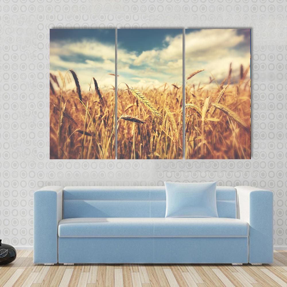 Sunny Wheat Field Canvas Wall Art-3 Horizontal-Gallery Wrap-37" x 24"-Tiaracle