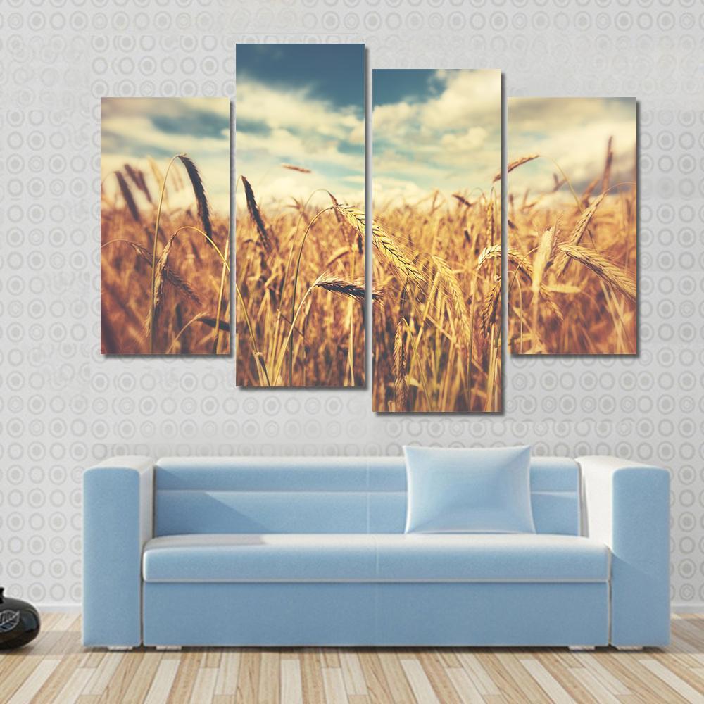 Sunny Wheat Field Canvas Wall Art-4 Pop-Gallery Wrap-50" x 32"-Tiaracle