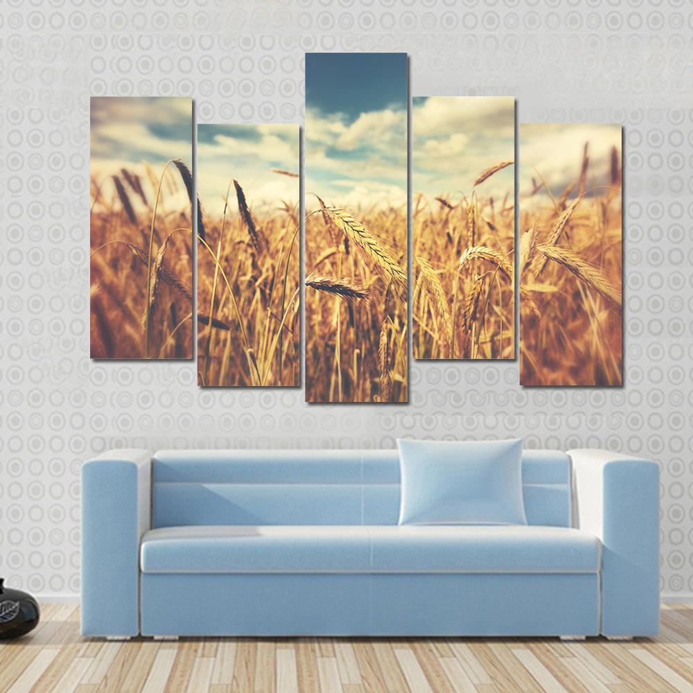 Sunny Wheat Field Canvas Wall Art-5 Pop-Gallery Wrap-47" x 32"-Tiaracle