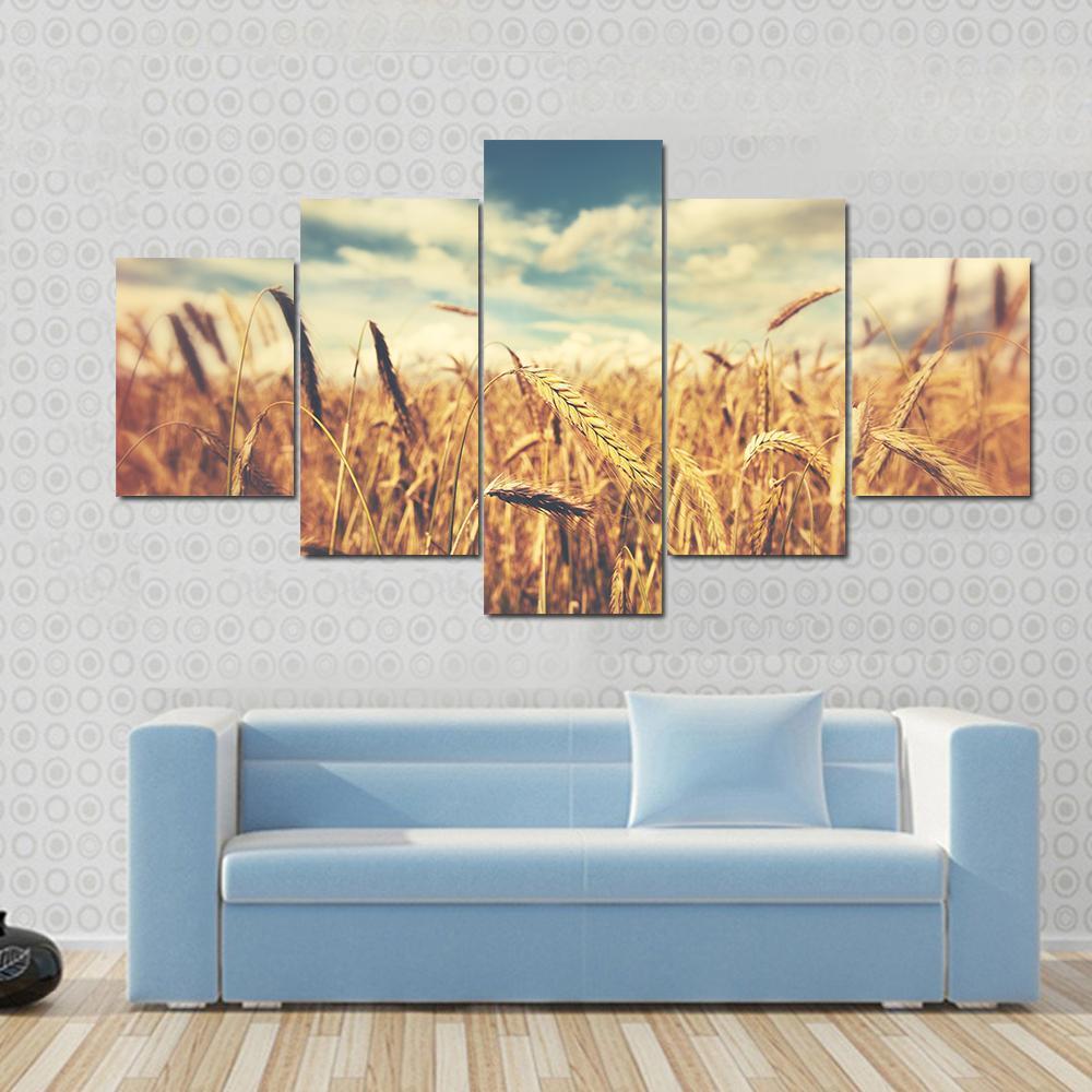 Sunny Wheat Field Canvas Wall Art-5 Star-Gallery Wrap-62" x 32"-Tiaracle