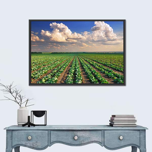 Sunrise Over The Cabbage Field Canvas Wall Art-1 Piece-Floating Frame-24" x 16"-Tiaracle