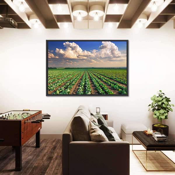 Sunrise Over The Cabbage Field Canvas Wall Art-3 Horizontal-Gallery Wrap-25" x 16"-Tiaracle