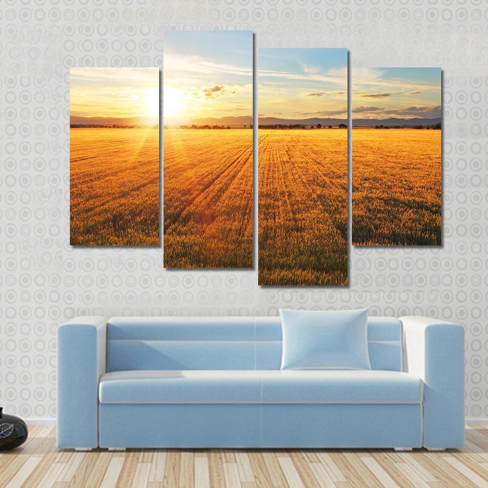 Sunset Over Wheat Field Canvas Wall Art-4 Pop-Gallery Wrap-50" x 32"-Tiaracle