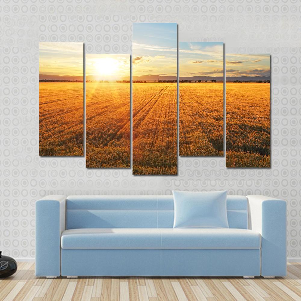 Sunset Over Wheat Field Canvas Wall Art-5 Pop-Gallery Wrap-47" x 32"-Tiaracle