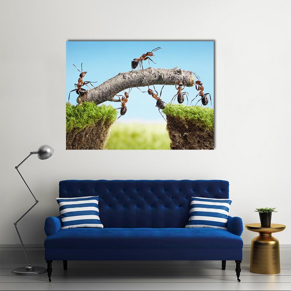 Ants Constructing Bridge Canvas Wall Art-1 Piece-Gallery Wrap-48" x 32"-Tiaracle