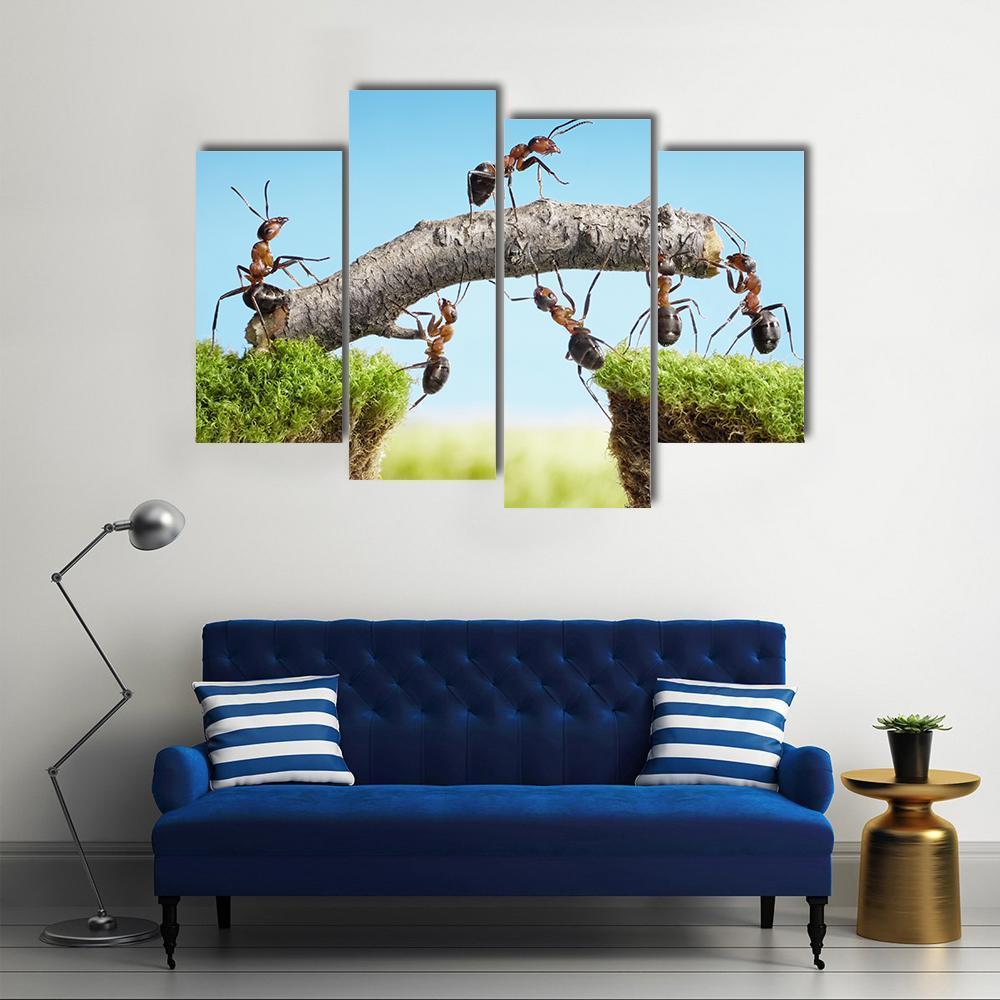 Ants Constructing Bridge Canvas Wall Art-4 Pop-Gallery Wrap-50" x 32"-Tiaracle