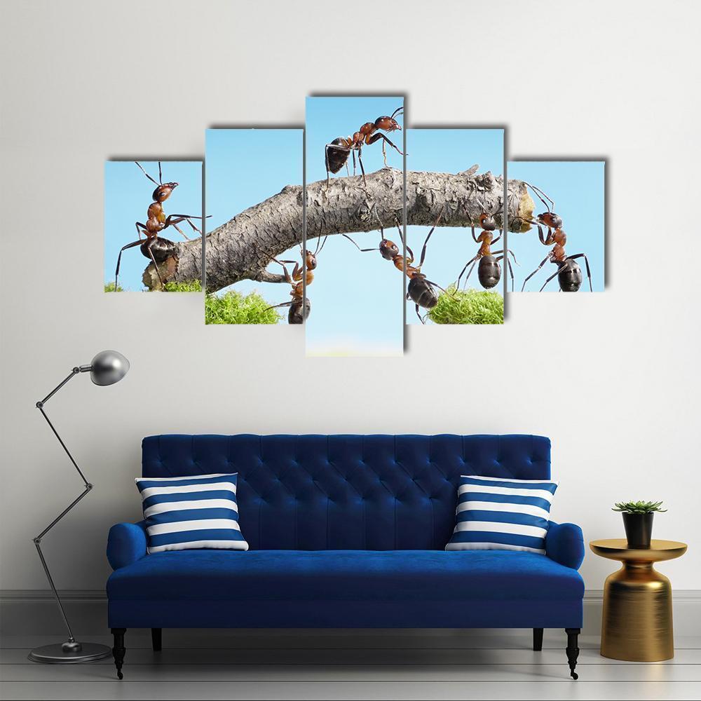 Ants Constructing Bridge Canvas Wall Art-5 Star-Gallery Wrap-62" x 32"-Tiaracle