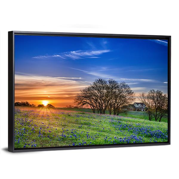 Texas Bluebonnet Field Canvas Wall Art-3 Horizontal-Gallery Wrap-25" x 16"-Tiaracle