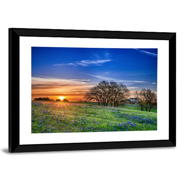 Texas Bluebonnet Field Canvas Wall Art-3 Horizontal-Gallery Wrap-25" x 16"-Tiaracle