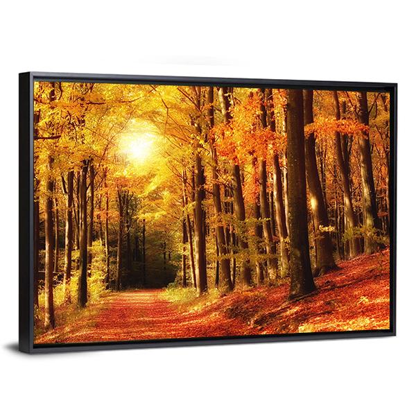 The Forest In Autumn Canvas Wall Art-3 Horizontal-Gallery Wrap-25" x 16"-Tiaracle