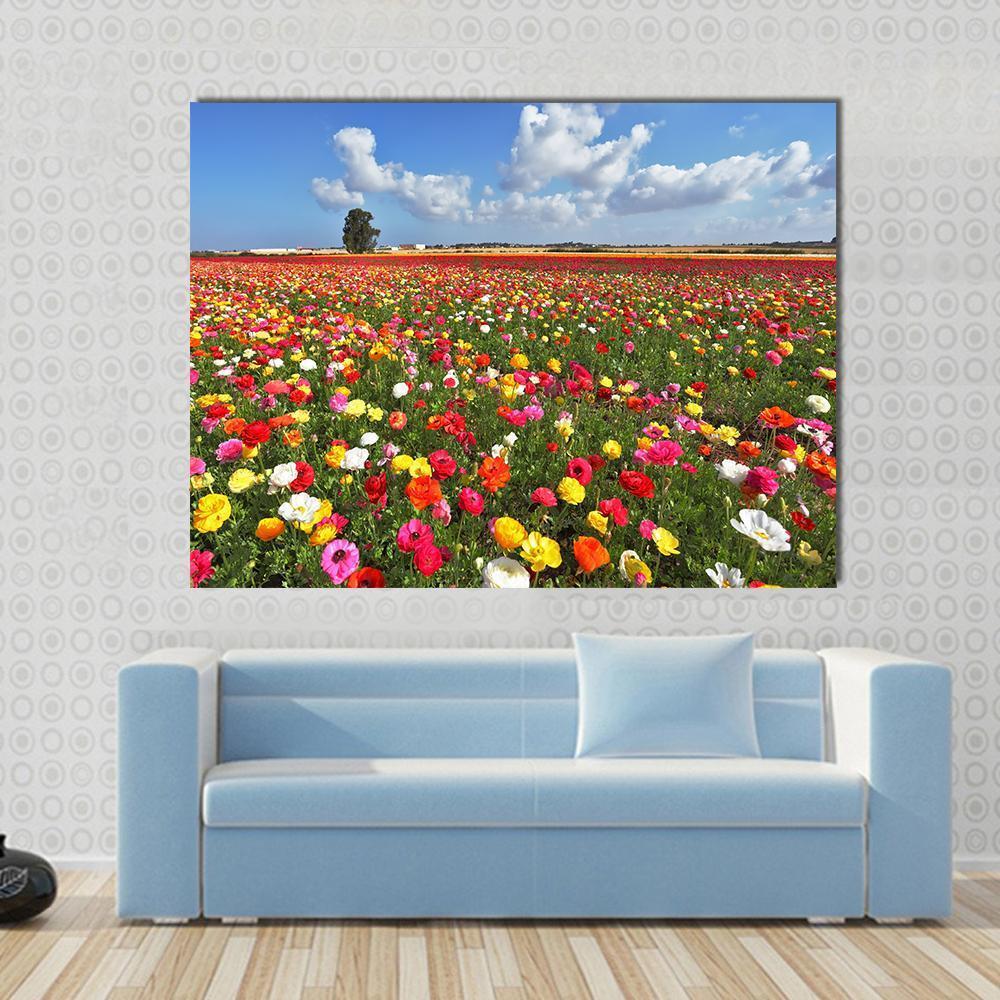 Magnificent Garden Buttercups Canvas Wall Art-1 Piece-Gallery Wrap-48" x 32"-Tiaracle