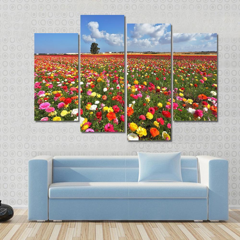 Magnificent Garden Buttercups Canvas Wall Art-4 Pop-Gallery Wrap-50" x 32"-Tiaracle