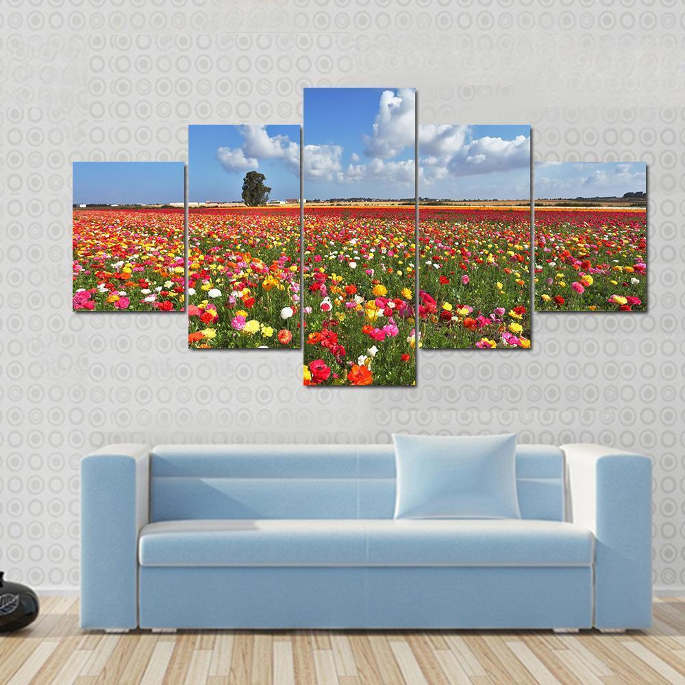 Magnificent Garden Buttercups Canvas Wall Art-5 Star-Gallery Wrap-62" x 32"-Tiaracle