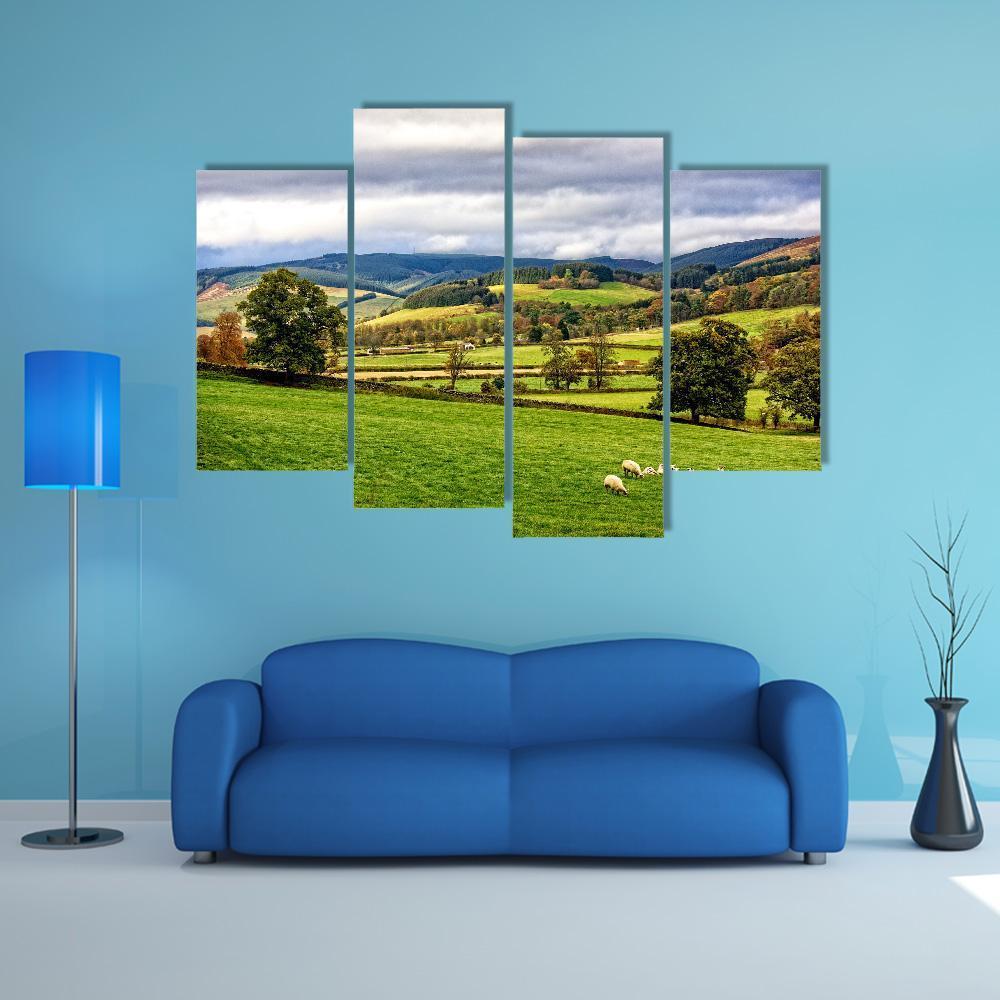 The Moorfoot Hills Canvas Wall Art-4 Pop-Gallery Wrap-50" x 32"-Tiaracle