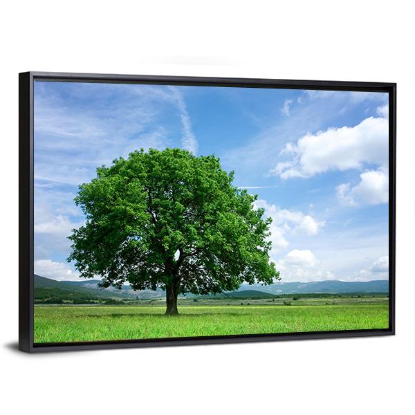 Tree On Green Field Canvas Wall Art-3 Horizontal-Gallery Wrap-25" x 16"-Tiaracle