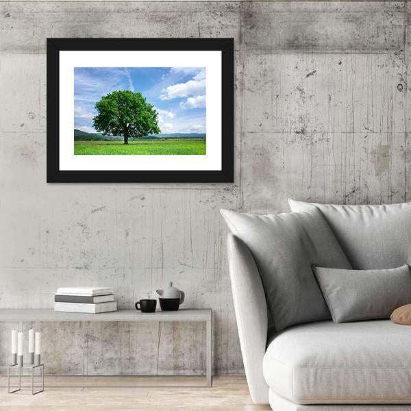 Tree On Green Field Canvas Wall Art-3 Horizontal-Gallery Wrap-25" x 16"-Tiaracle