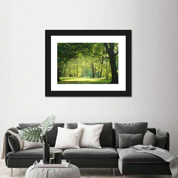 Trees In A Summer Forest Canvas Wall Art-1 Piece-Framed Print-20" x 16"-Tiaracle