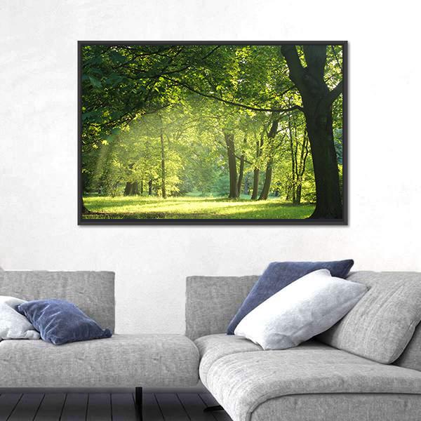 Trees In A Summer Forest Canvas Wall Art-1 Piece-Floating Frame-24" x 16"-Tiaracle