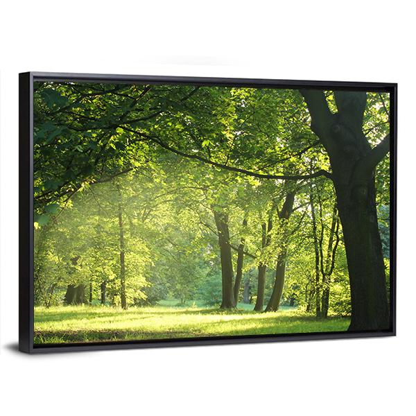 Trees In A Summer Forest Canvas Wall Art-3 Horizontal-Gallery Wrap-25" x 16"-Tiaracle